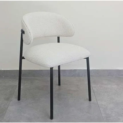 Set Of 2 Dining Chairs Furniture FF10-Plus