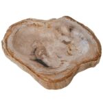 Petrified Wood Ashtray DI DF24-MRB-17 Light