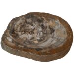 Petrified Wood Ashtray DI DF24-MRB-17 Mocha