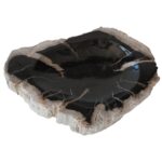 Petrified Wood Ashtray DI DF24-MRB-17 Black